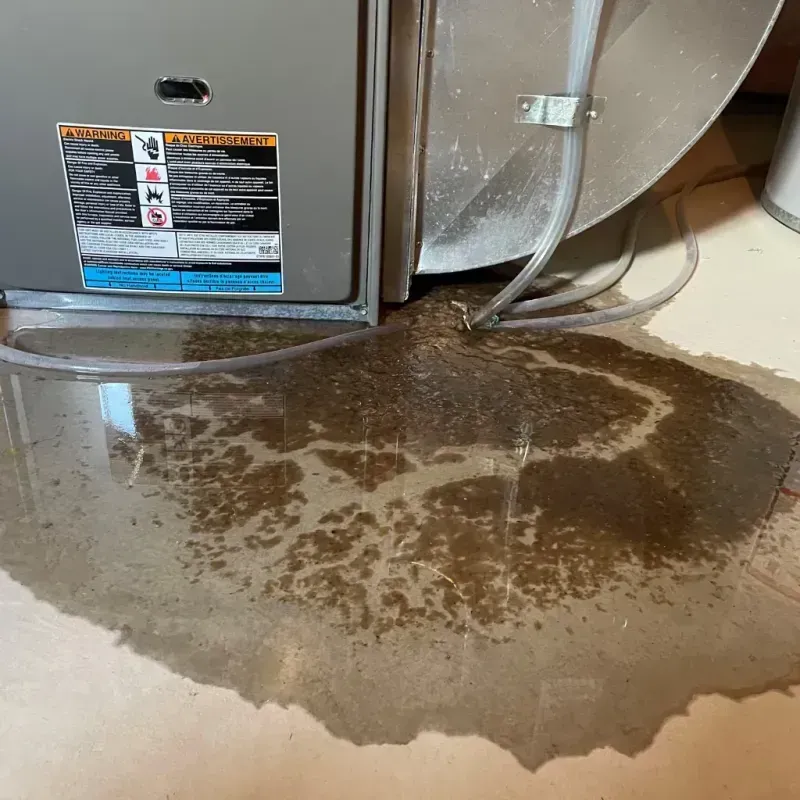 Appliance Leak Cleanup in Sandy Springs, GA